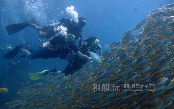 租游艇出海玩什么？十類炫酷水上玩具